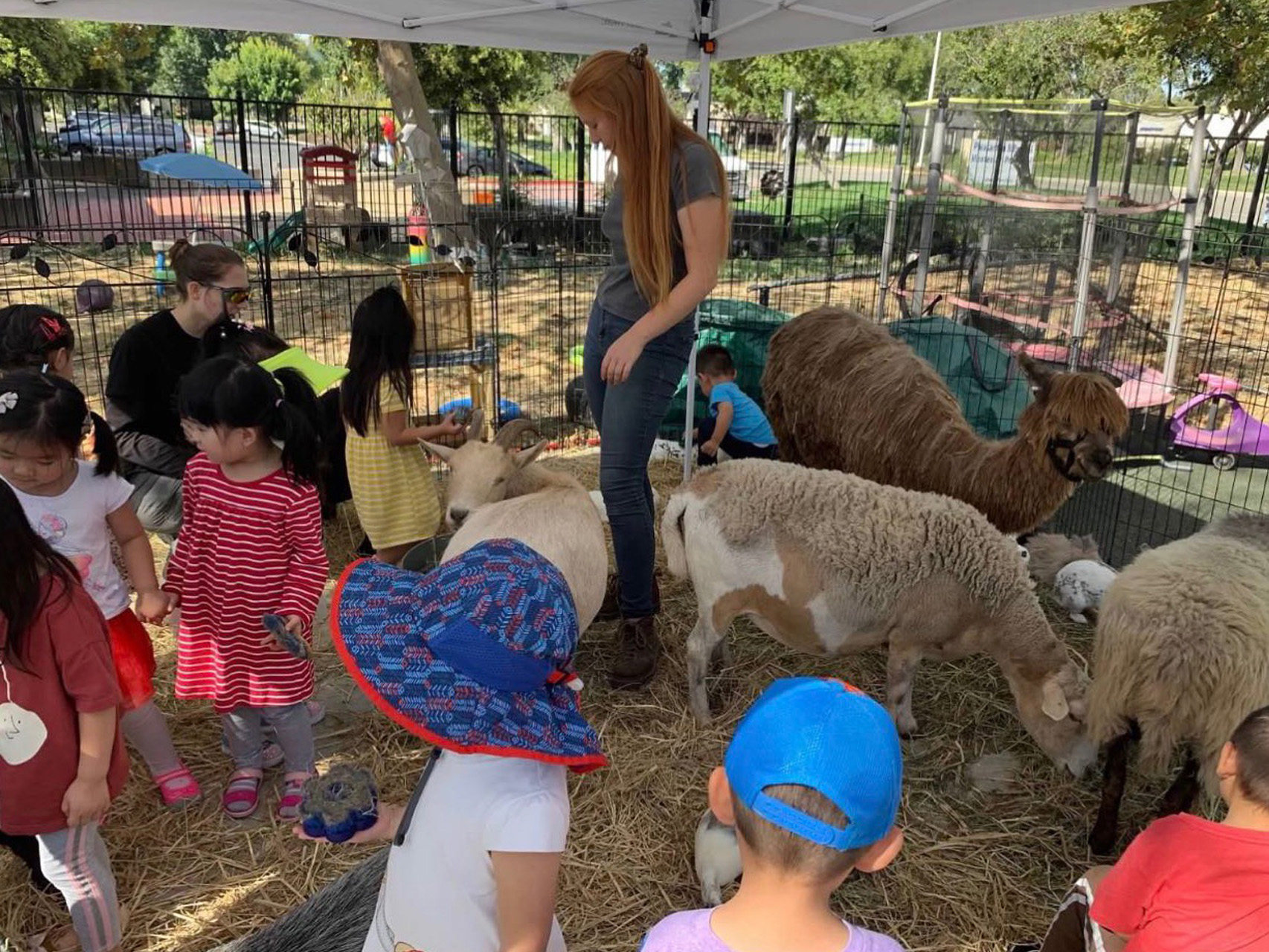 Pleasanton Bilingual Montessori Preschool